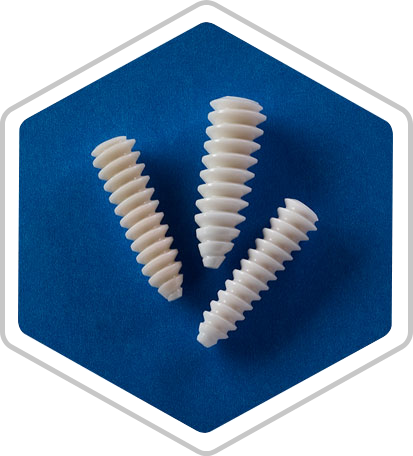 Three bioabsorbable screws of different sizes